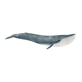 Baleine bleue