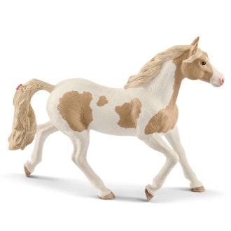 Klacz paint horse