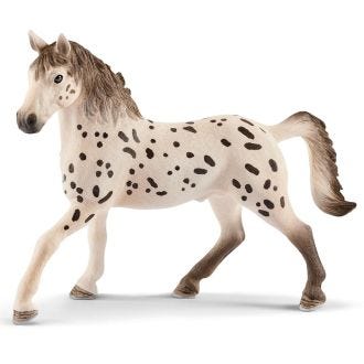 Knapstrupper stallion