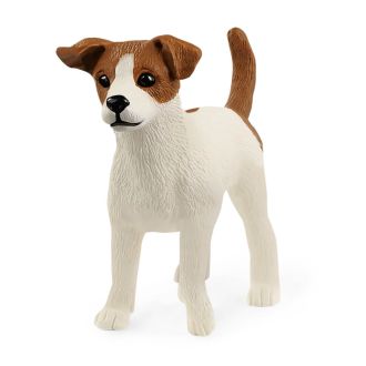 Jack Russell-terrier