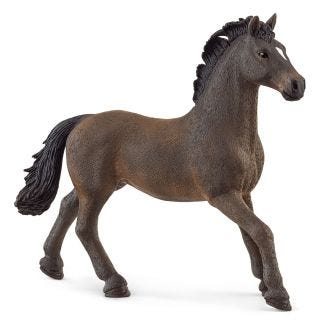 Oldenburger Stallion