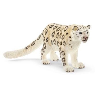 Śnieżny leopard