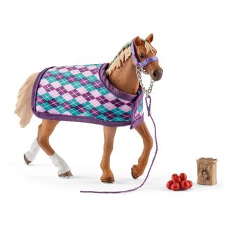 English Thoroughbred with blanket