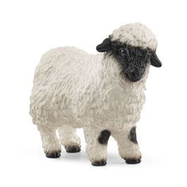 Valašská černostrakatá ovce